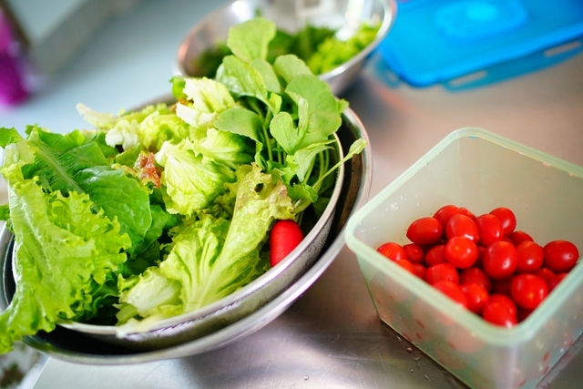 텃밭샐러드 네가지 토종상추(담배상추,너브내상추,안성키상추,파란꽃상추)