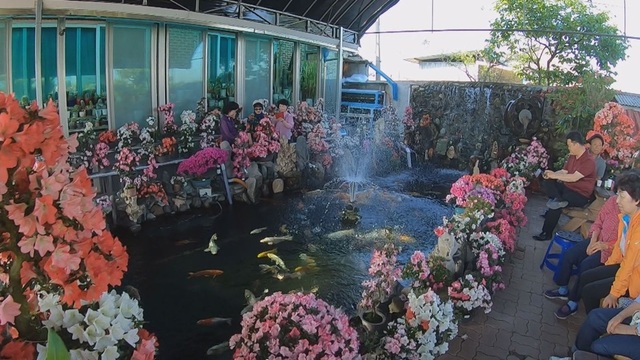 스틸 = SBS '순간포착 세상에 이런일이'