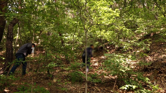 스틸 = KBS 추적 60분