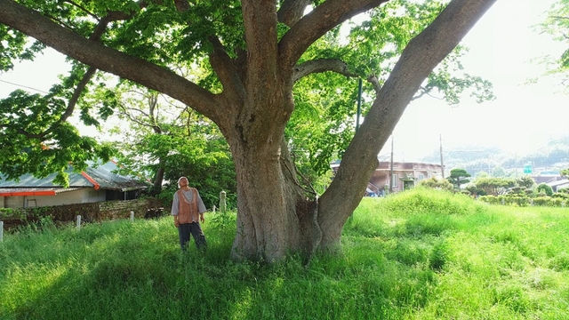 스틸 = EBS1 한국기행