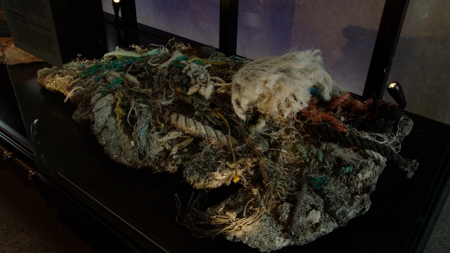 스틸 = EBS1 다큐프라임