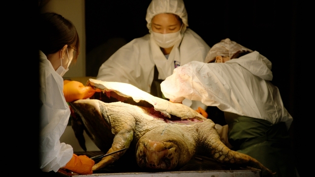 스틸 = EBS1 다큐프라임