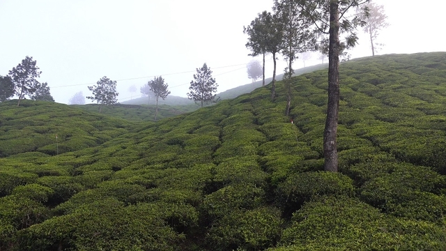 스틸 = KBS 걸어서 세계속으로