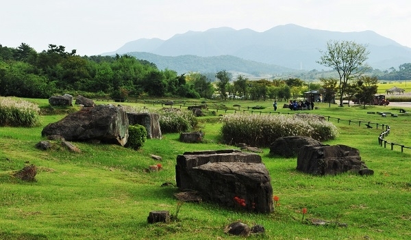 고창 고인돌 유적 전경