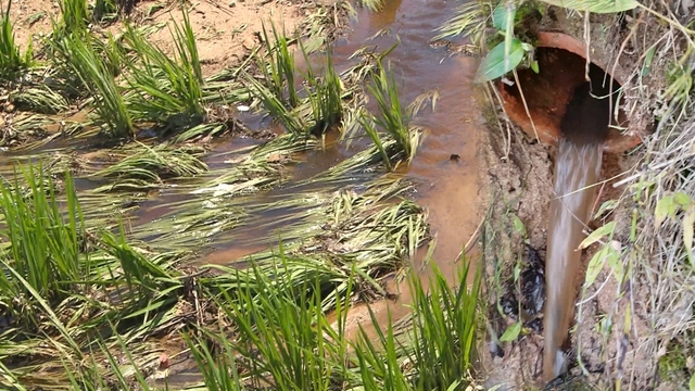 스틸 = KBS 제보자들