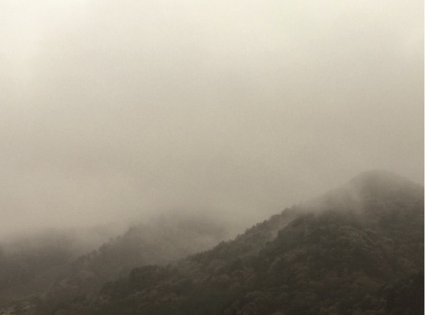 설휴정 작품 '동상 학사봉'