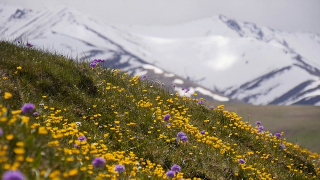 스틸 = EBS1 세계테마기행