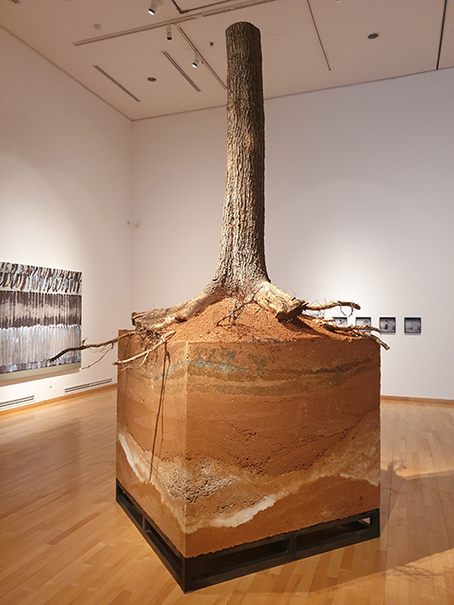 이건용 작품, 나무·흙, 3500×150×190cm, 2019.