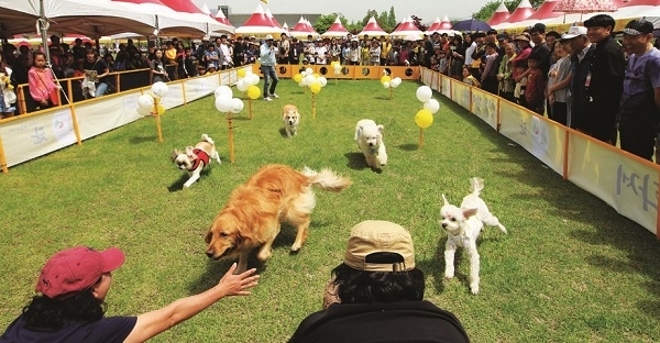 전북일보 자료사진.