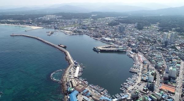 동해안 대표 어항 가운데 하나인 강릉 주문진항. 사진=강원일보 권태명 기자