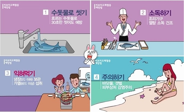 비브리오 패혈증 예방법. 고창군 제공.