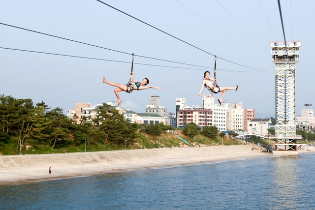 짚트랙 / 사진 = 대전짚트랙 제공