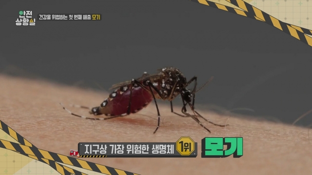 스틸 = EBS1 사건브리핑-안전상황실