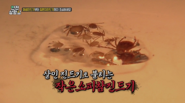 스틸 = EBS1 사건브리핑-안전상황실