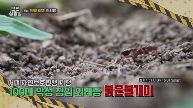 스틸 = EBS1 사건브리핑-안전상황실