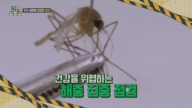 스틸 = EBS1 사건브리핑-안전상황실