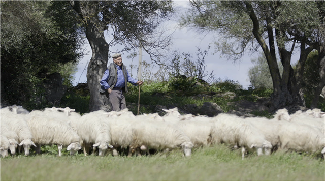 스틸 = KBS 생/로/병/사의 비밀