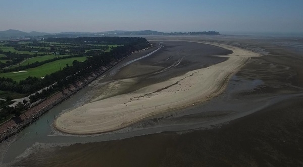 고창갯벌 쉐니어