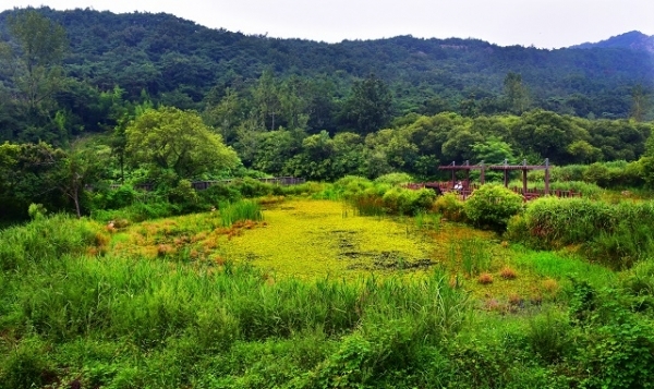 고창 운곡습지. 사진 제공=전북도