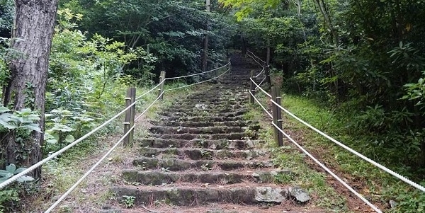 저지오름 탐방로. 사진=농협 제주본부 제공