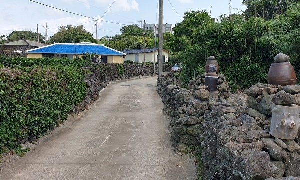 유수암리마을 전경. 사진=농협 제주본부 제공