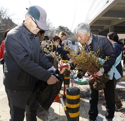 (사)푸른익산가꾸기 운동본부 주관으로 지난 3월에 열린 나무 나눠주기 행사를 통해 약 8000 그루의 나무가 시민들에게 분양됐다.