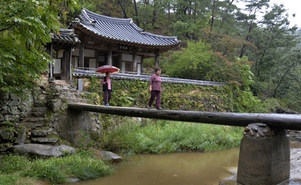 안동 만휴정 앞에 놓인 다리를 주민들이 건너고 있다. 사진= 매일신문 이채근 기자