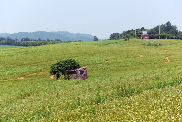 도깨비 촬영 장소
