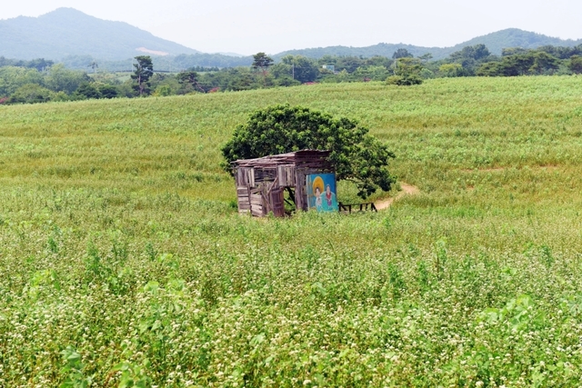 도깨비 촬영 장소