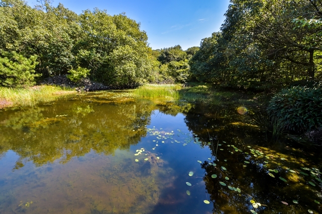 먼몰깍 풍경 / 제주新보 제공