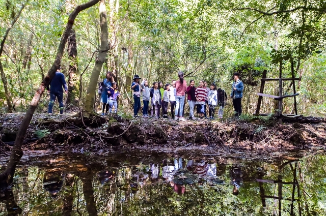 꼬마해설사 곶자왈나무 특징 설명 / 제주新보 제공