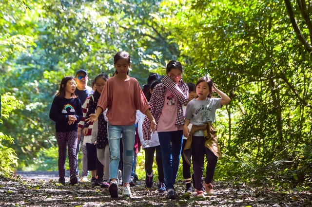꼬마해설사 곶자왈나무 특징 설명 / 제주新보 제공