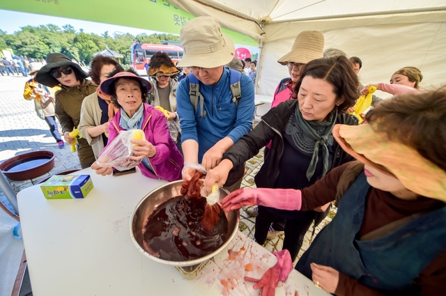 천연염색체험 / 제주新보 제공