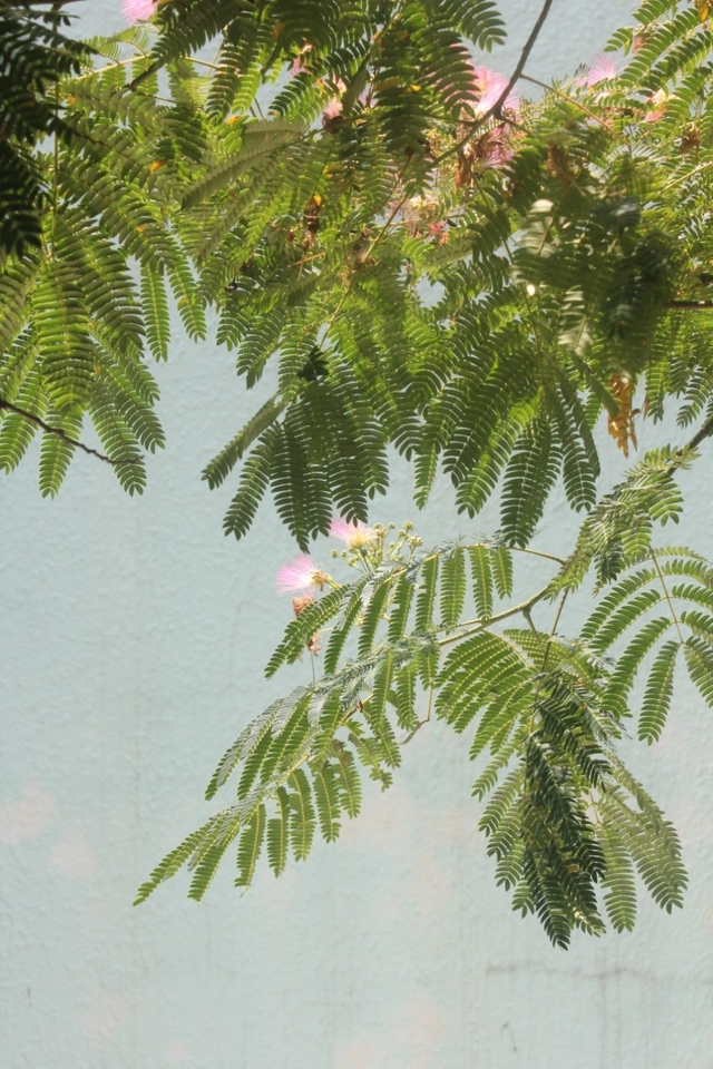 사회기업식당 외관 벽