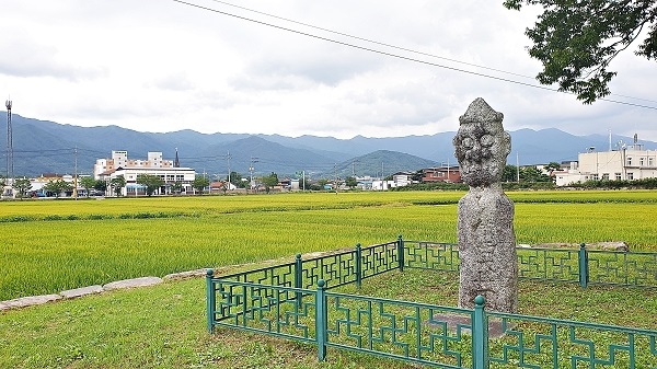 서림공원 앞에서 바라본 운봉 들녘. 전국에서 가장 빨리 추수가 이루어지는 운봉 들녘은 벌써 황금빛으로 물들어 알곡이 여물어가고 있다. 뒤로 보이는 산줄기는 지리산서북능선이다.