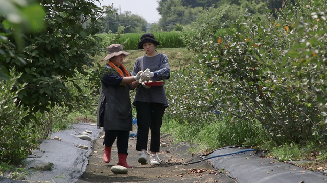 스틸 = KBS 한국인의 밥상, 맛있는 유혹, 색(色)을 먹다