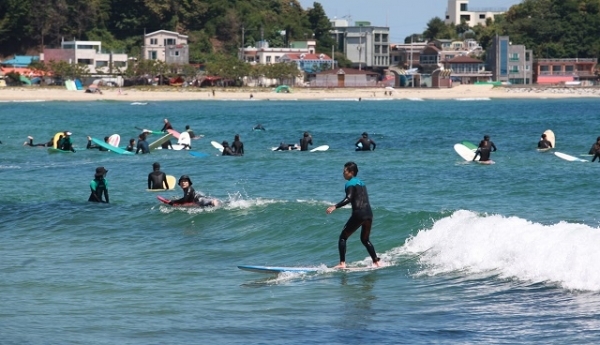 서핑 즐기는 서퍼들.
