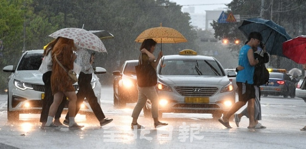 제13호 태풍 링링이 북상 중인 5일 전주시 권삼득로에서 쏟아지는 소나기에 전조등을 켠 차량들 앞으로 우산을 쓴 시민들이 발걸음을 옮기고 있다. 박형민 기자