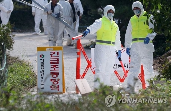 인천 강화군 한 양돈농장에서 국내 다섯 번째로 아프리카돼지열병(ASF)이 확진돼 방역당국에 비상이 걸린 25일 오전 인천시 강화군 송해면 해당 농장 입구에 외부인 출입을 금지하는 바리케이드가 설치돼 있다. 연합뉴스