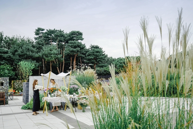 체험 및 파머스프리마켓