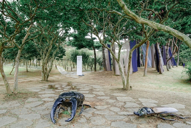 바람결 정원 포토존