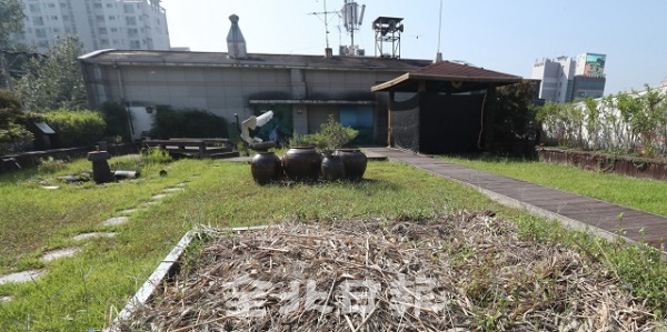 30일 전주시의 옥상정원 사업이 중단된 가운데 전주시 중화산1동 주민센터 옥상정원이 시민들의 발길을 끌도록 잘 꾸며져 있다. 조현욱 기자