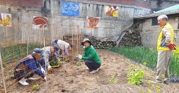 물왕멀공동체 활동 모습.