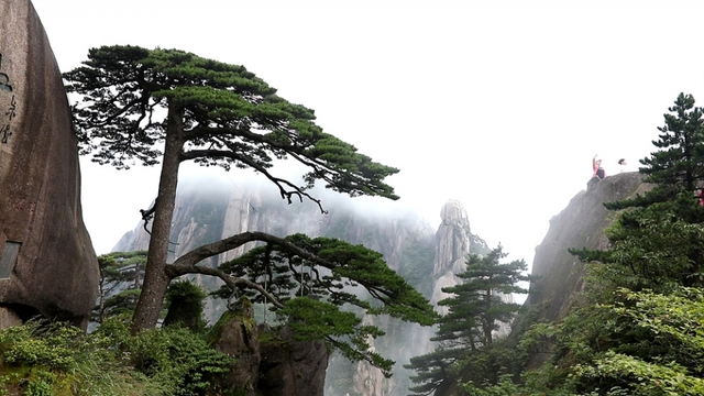 스틸 = EBS1 세계테마기행