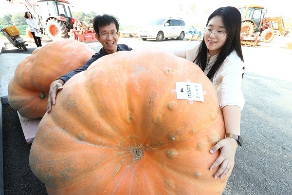 올해 박과채소 챔피언 대상작, 무게 319㎏ 호박. 사진제공=농촌진흥청