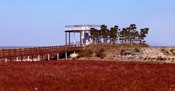 고창갯벌식물원.