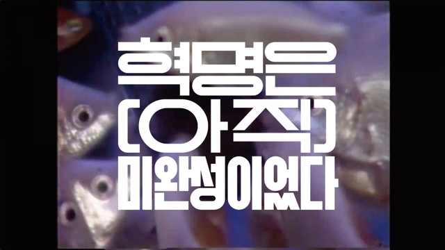 스틸 = KBS 다큐 인사이트