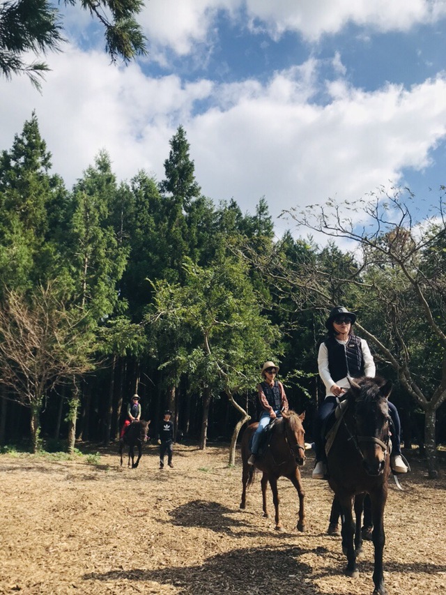 의귀리_옷귀테마타운_승마체험