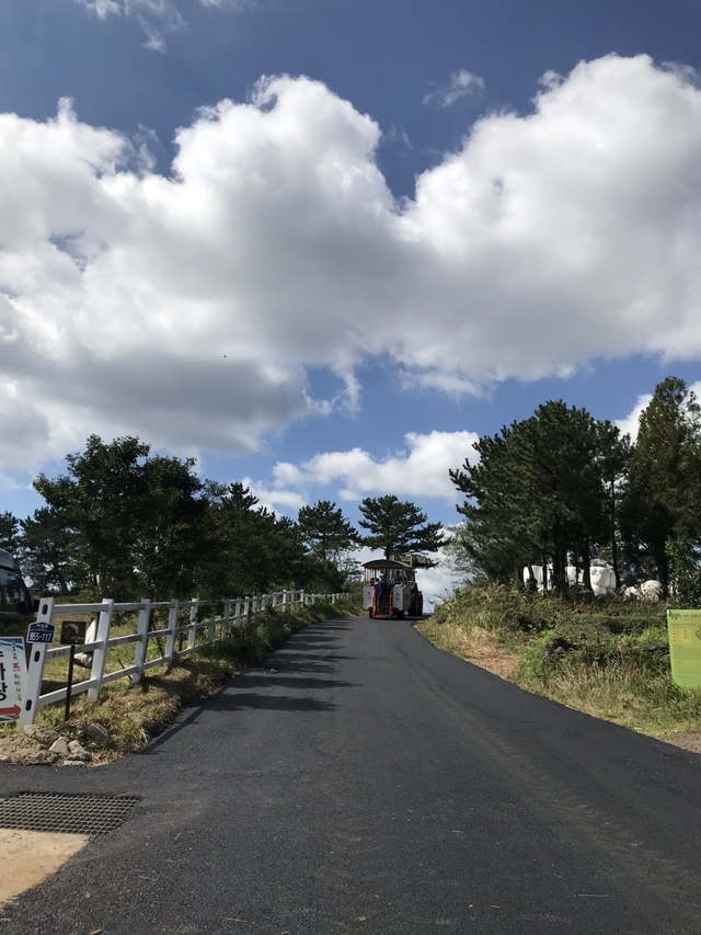 의귀리 트렉터마차 트래킹