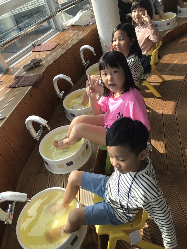 감귤박물관 진피족욕 체험